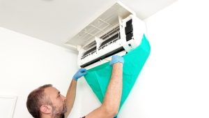 iStock-2171358347.jpg